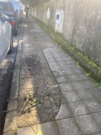 Passeio danificado 
