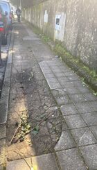 Passeio danificado 
