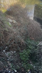 IMG_8109.jpeg